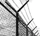 A Bangladeshi woman illegally entered India for her boyfriend