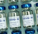 Covid vax does not increase risk of miscarriage: Study