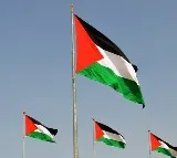 Palestinian flags displayed during Pakistan-Bangladesh ODI in Kolkata
