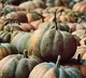 Why cutting Pumpkin by women is forbidden