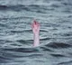 Two dead, seven others missing after boat capsizes in Saryu river in Bihar's Saran