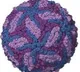 Zika virus found in Karnataka district, govt on high alert mode