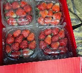 Eating strawberries daily when young may cut dementia risk later