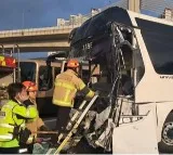 59 injured in five bus pile-up on S.Korea expressway
