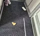 Union Minister shares photo of debris, leftover food on Vistara aircraft's floor
