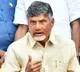 Chandrababu is full busy with politics says YSRCP