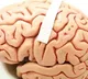 New brain implant shows promise to translate speech from thoughts