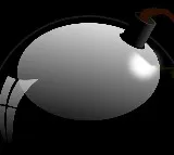 CRPF Jawan On Election Duty Injured In IED Blast