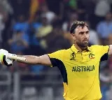 Afghanistan Loss leads competition For semis berth between Pakistan And New Zealand in World Cup 2023