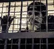 CI Iftikhar Ahmed Murder Case Accused Arrested