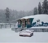 Fresh snowfall in mountains as rain lashes J&K plains