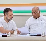 Kharge, Rahul greet nation on Diwali
