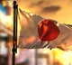 Japan gets youngest-ever female Mayor