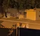 Lion roams freely through Italian streets in viral video Watch
