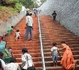 Leopard sighted on Srivari Mettu walkway TTD restricts movement of piligrims