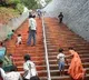 Leopard sighted on Srivari Mettu walkway TTD restricts movement of piligrims