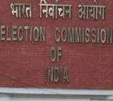 2898 candidates will contest in telangana election