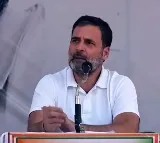 Congress storm in MP will wipe out BJP, says Rahul