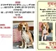 Delhi Police trace stolen dog that had Rs 1L reward for 'safe recovery'