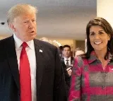 After Trump, Nikki Haley 'most favoured' probable for US Presidency in 2024
