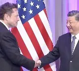Tim Cook, Elon Musk greet Xi Jinping at gala dinner