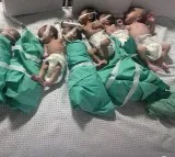Egypt says ready to receive newborns from Gaza's largest hospital