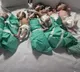 Egypt says ready to receive newborns from Gaza's largest hospital