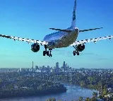 Flight In US Forced To Turn Back After Horse On Board Gets Loose