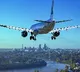 Flight In US Forced To Turn Back After Horse On Board Gets Loose
