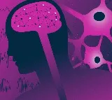 Epilepsy is a neurological disorder, not a mental disorder: Doctors