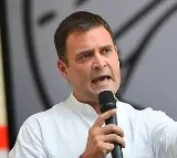 BJP Leader Who Filed Case Against Rahul Gandhi Gets Key Post