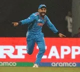 Men’s ODI WC: 'Kohli will score big but Australia are going to win the World Cup', says Brad Hogg