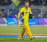 David Warner to skip India T20Is after Australia's World Cup triumph