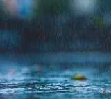 Trough causes to rains on Southern Coastal Andhra districts