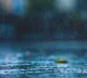 Trough causes to rains on Southern Coastal Andhra districts