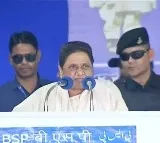 Mayawati hopeful of BSP coming to power in Telangana