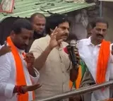 Pawan Kalyan campaign in Dubbaka