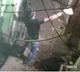 Delhi Horror: Demon's street dance, firearms, knives dominate juvenile's social media