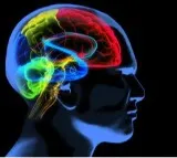 Study finds drugs that can reverse brain ageing caused by Covid