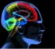Study finds drugs that can reverse brain ageing caused by Covid