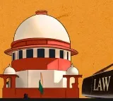 How could the Hindenburg report on Adani group be treated as 'credible', SC questions Prashant Bhushan