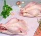 Chickent rates in Hyderabad fall down