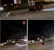 Delhi Police's innovative 'Moye Moye' video sparks social media frenzy on road safety