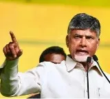 Chandrababu will attend Siddarth Luthra son wedding reception