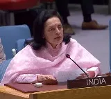 At UNGA, India condemns Hamas terrorism; large-scale civilian deaths in Israel retaliation