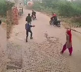 A woman with broomstick charged at the shooters and scared them away