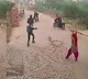 A woman with broomstick charged at the shooters and scared them away