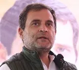 Rahul Gandhi will again contest from Wayanad says Tariq Anwar