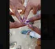 Polling 36 percent in allover Telangana till 1 o clock