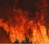Boat catches fire near Kakinada coast